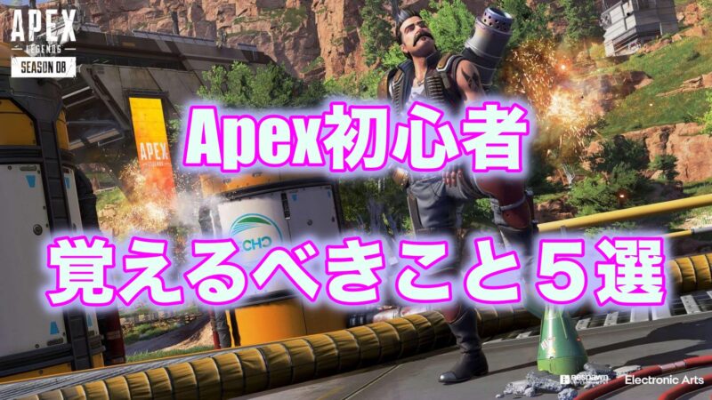 初心者向け Apex初心者が最優先で覚えること5選 もみじブログ