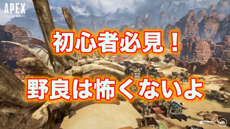 Apex 初心者 野良でプレイするのが怖い場合